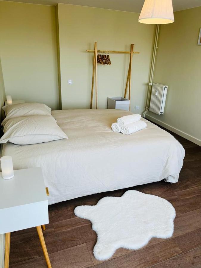 Espace 500 - Cosy, Wifi & Vue Sur La Ville Saint-Etienne  Zewnętrze zdjęcie